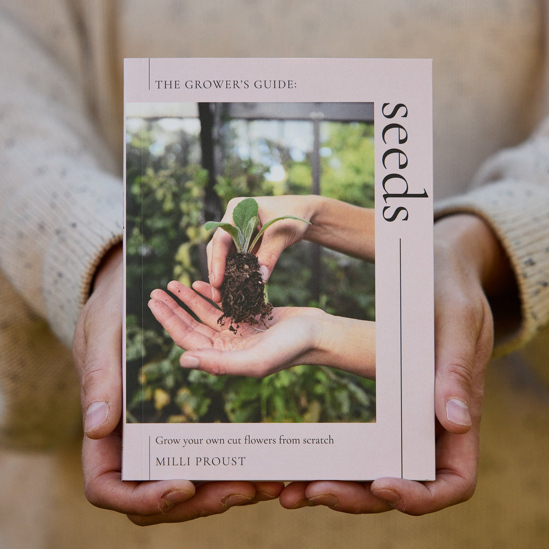 Seeds - Grow Your Own Cut Flowers From Scratch Book By Milli Proust
