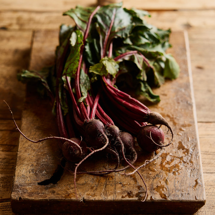 Beetroot Early Wonder Vegetable | X 100 Seeds