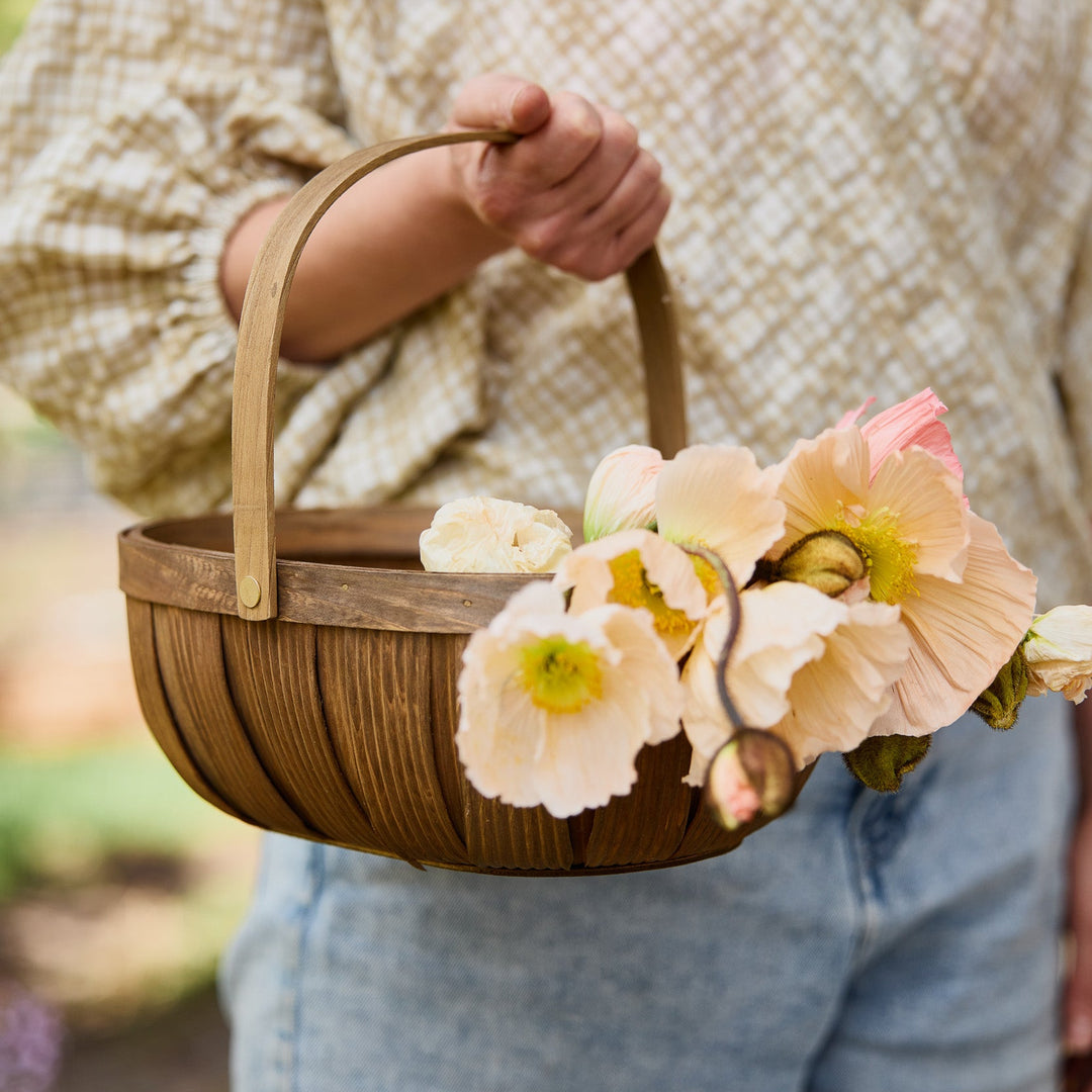 Poppy Colibri Rosa Chiaro Pastello Flower | X 50 Seeds