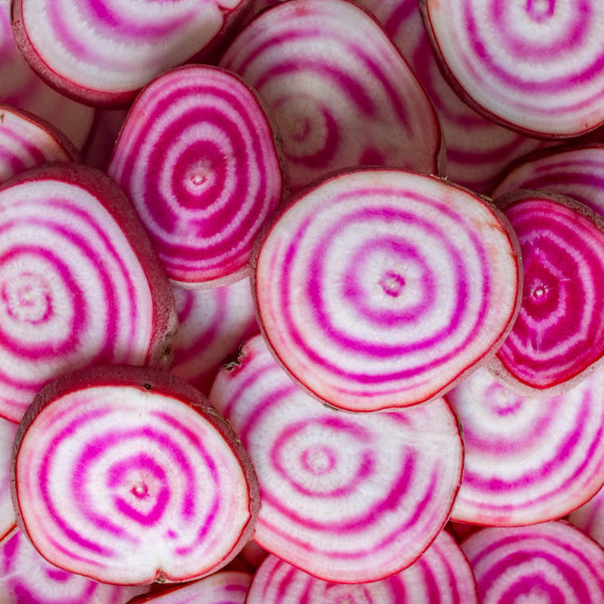 Beetroot Chioggia Vegetable | X 80 Seeds