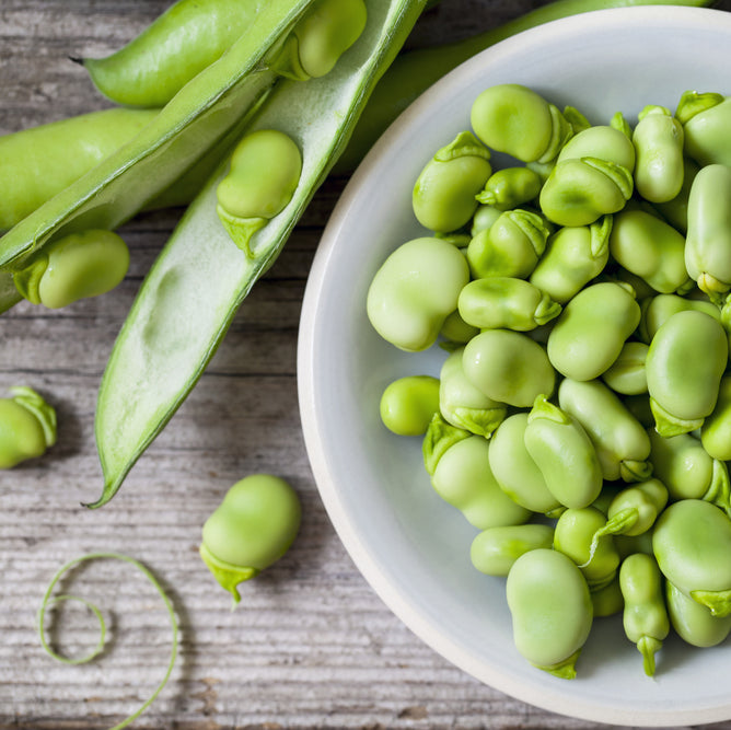 Broad Beans Aquadulce Vegetable | X 20 Seeds