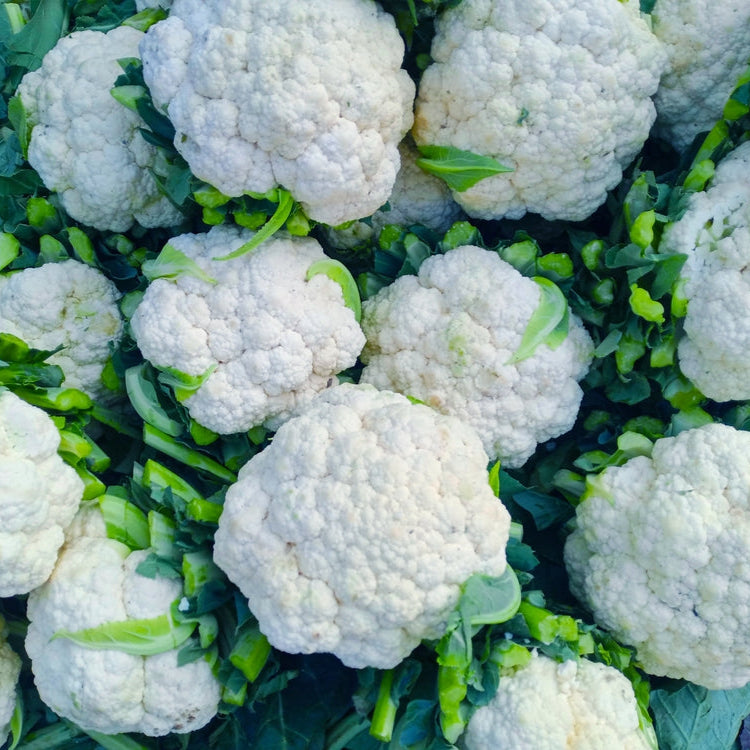 Cauliflower Snowball Early Vegetable | X 100 Seeds