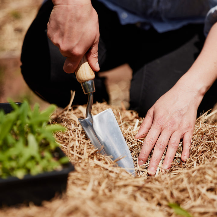 Gardening Hand Trowel Stainless Steel