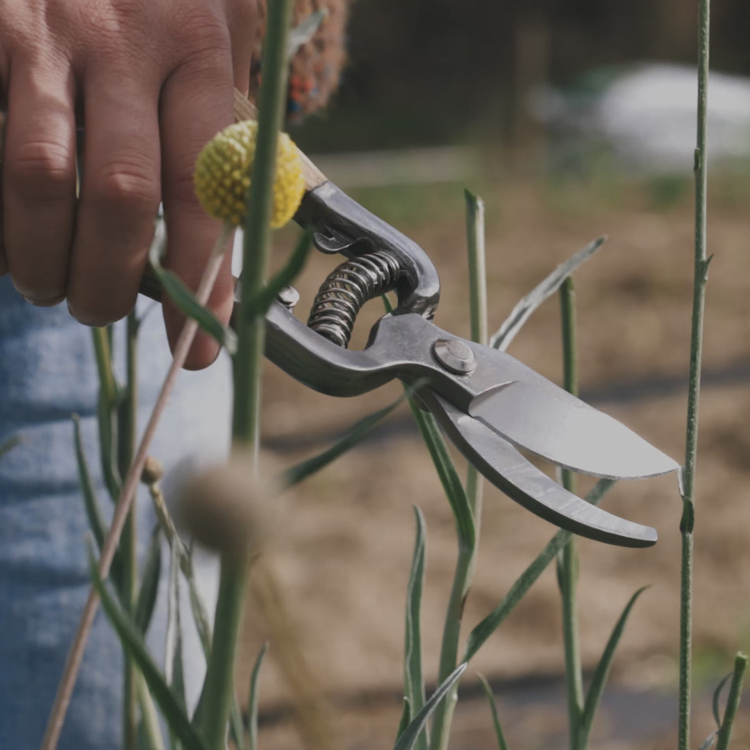 Secateurs Ash Wooden Handles Gardening Tool