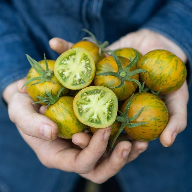 Tomato Green Zebra | X 30 Seeds (Not To WA)