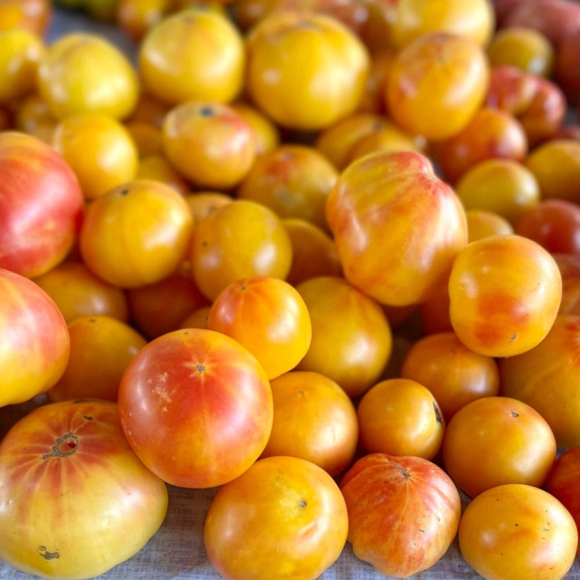 Tomato Peach | X 100 Seeds (Not To WA)