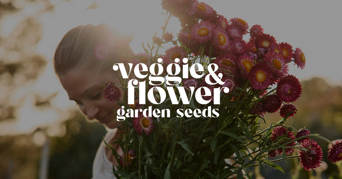 Veggie & Flower Garden Seeds Australia