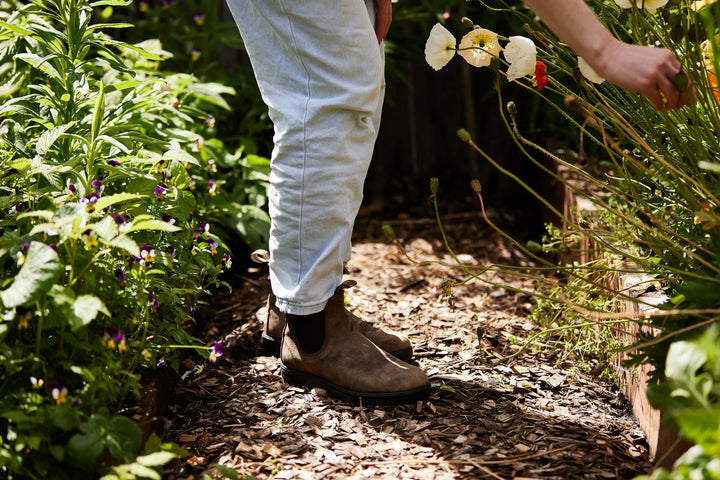 Poppy Iceland Pastel Victory Giant Mixed Flower | x 500 Seeds