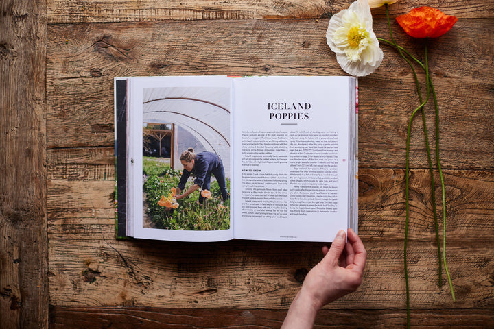 Floret Farm's Cut Flower Garden Book:  Grow, Harvest, and Arrange Stunning Seasonal Blooms by Erin Benzakein, Michele M. Waite