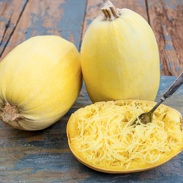 Squash Spaghetti Vegetable