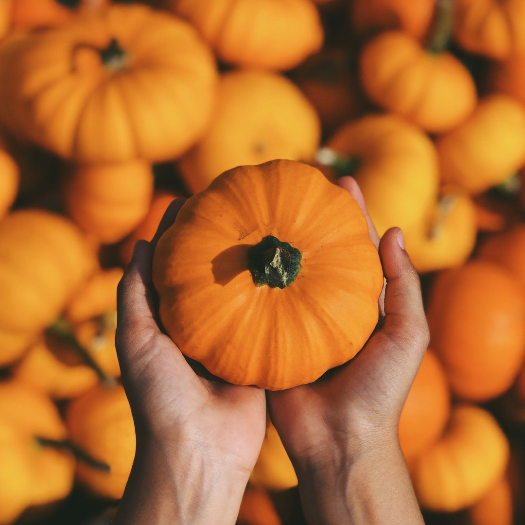 Pumpkin Golden Nugget Vegetable