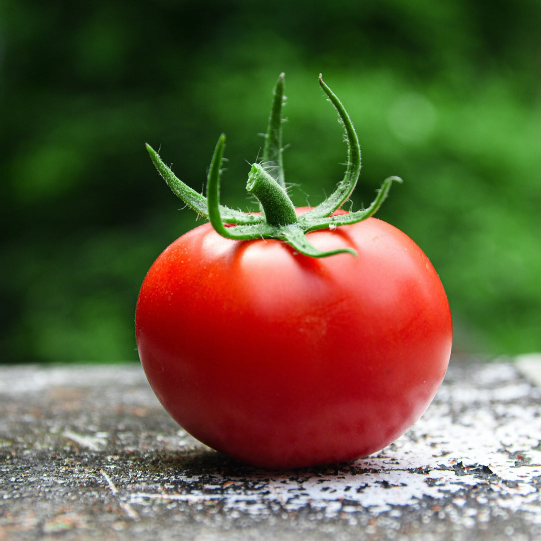 Tomato Daydream | x 100 seeds