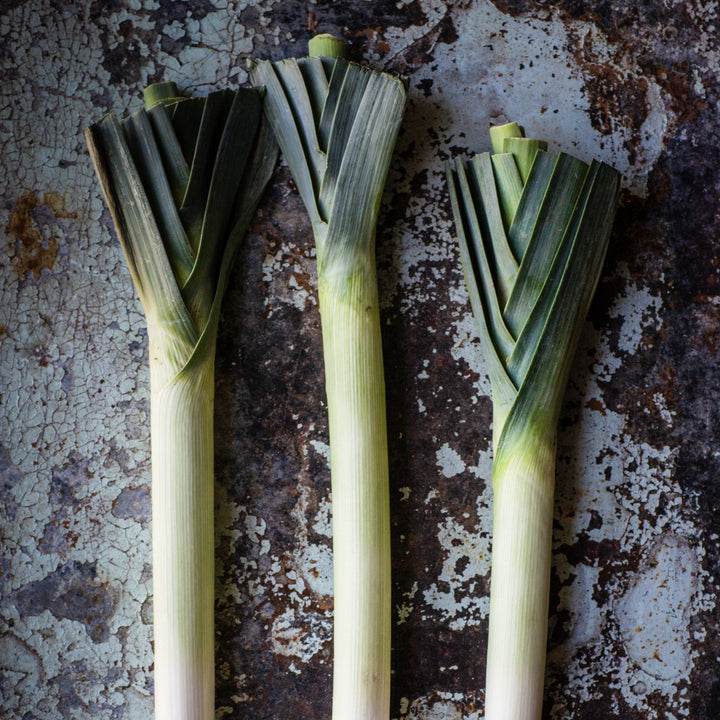 Leek Bulgarian Giant