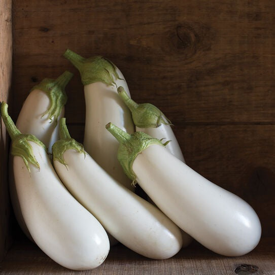 Eggplant Casper White