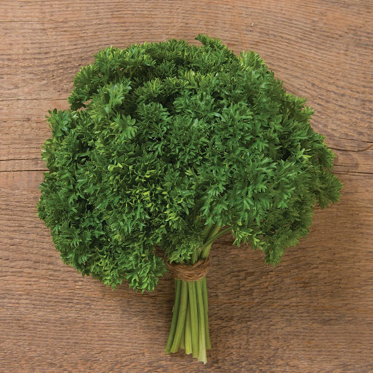 Parsley Triple Curled Herb | X 200 Seeds