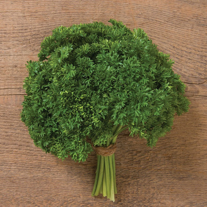 Parsley Triple Curled Herb | X 200 Seeds