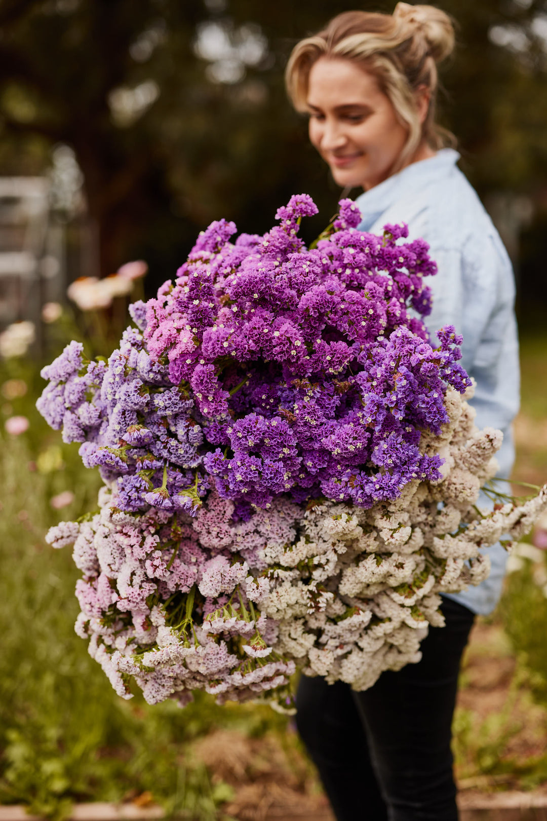 Statice Pastel Mix Flower
