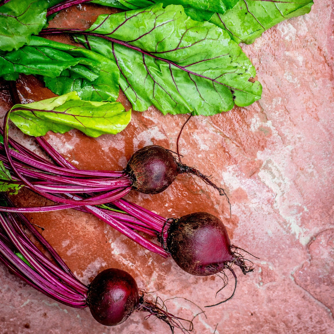 Beetroot Detroit Dark Red Vegetable Seeds