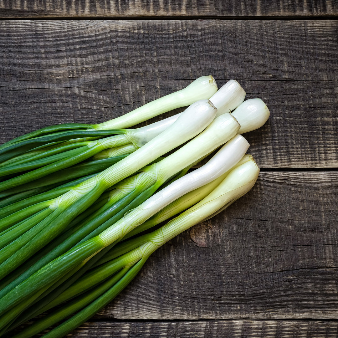 Shallots Spring Onion White Lisbon Vegetable | X 80 Seeds