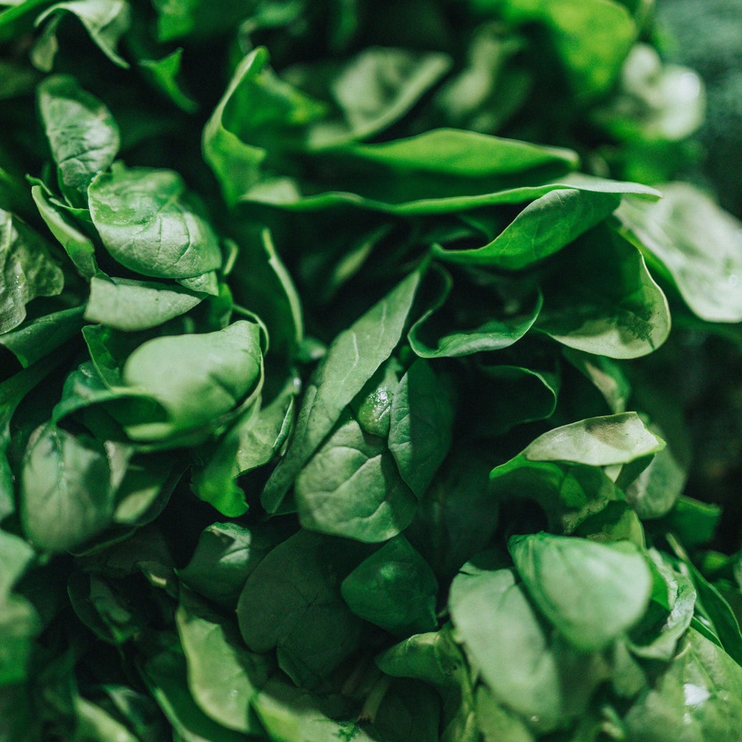 Spinach English Vegetable | X 100 Seeds