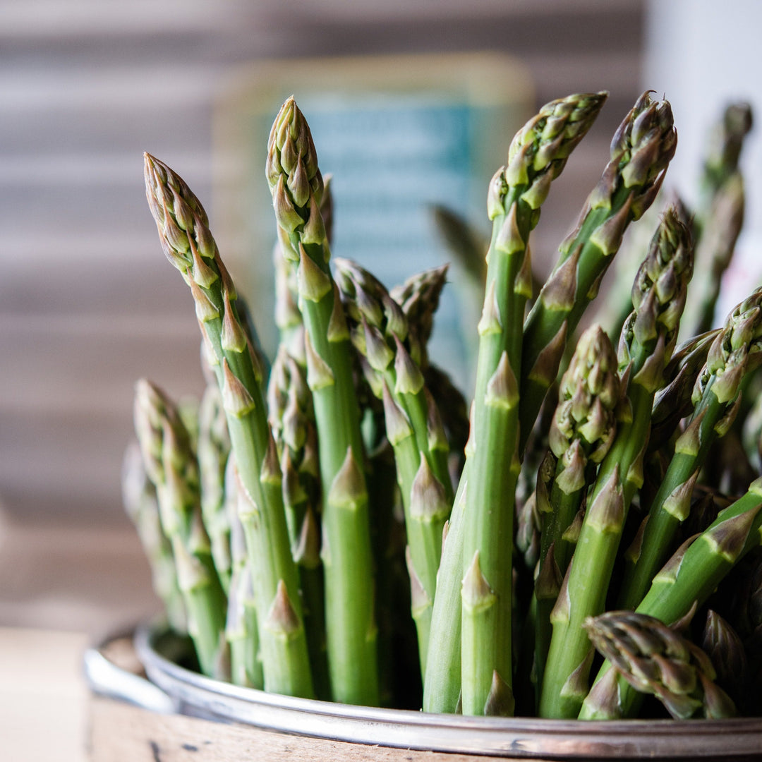 Asparagus Mary Washington Vegetable