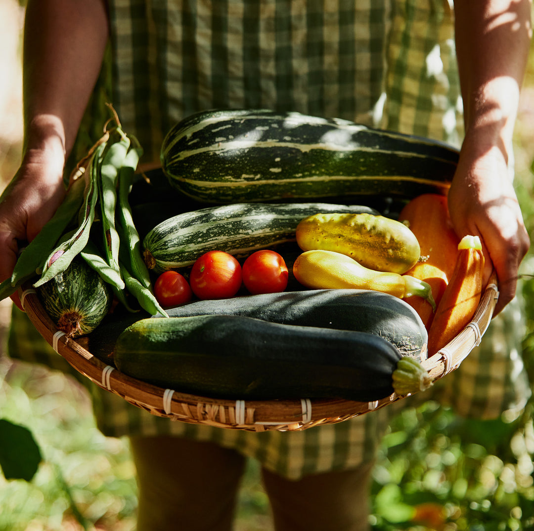 Veggie Sowing Calendar By Australian Climate Zone