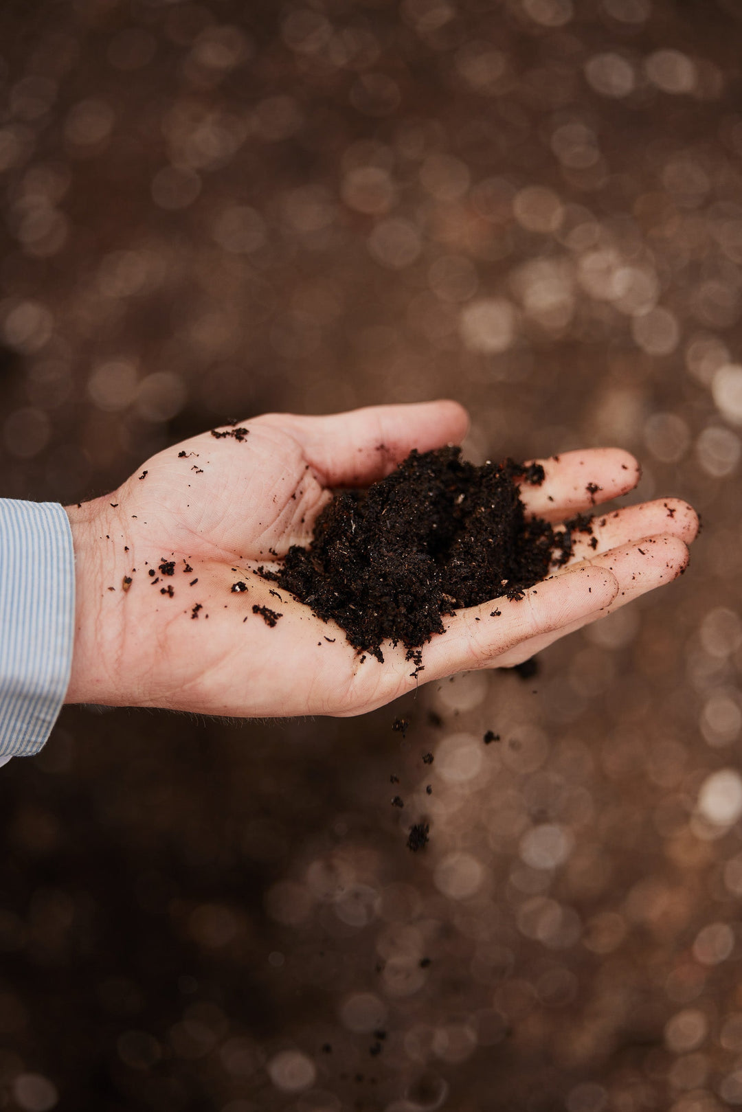 Building Soil Health with Mitch Thiessen From The Agrarian Kitchen Garden