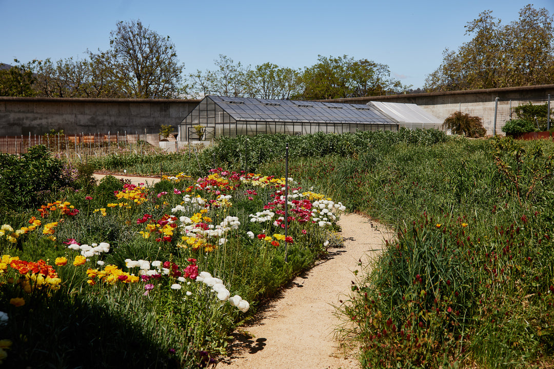 Agrarian Kitchen Garden Visit and Interview