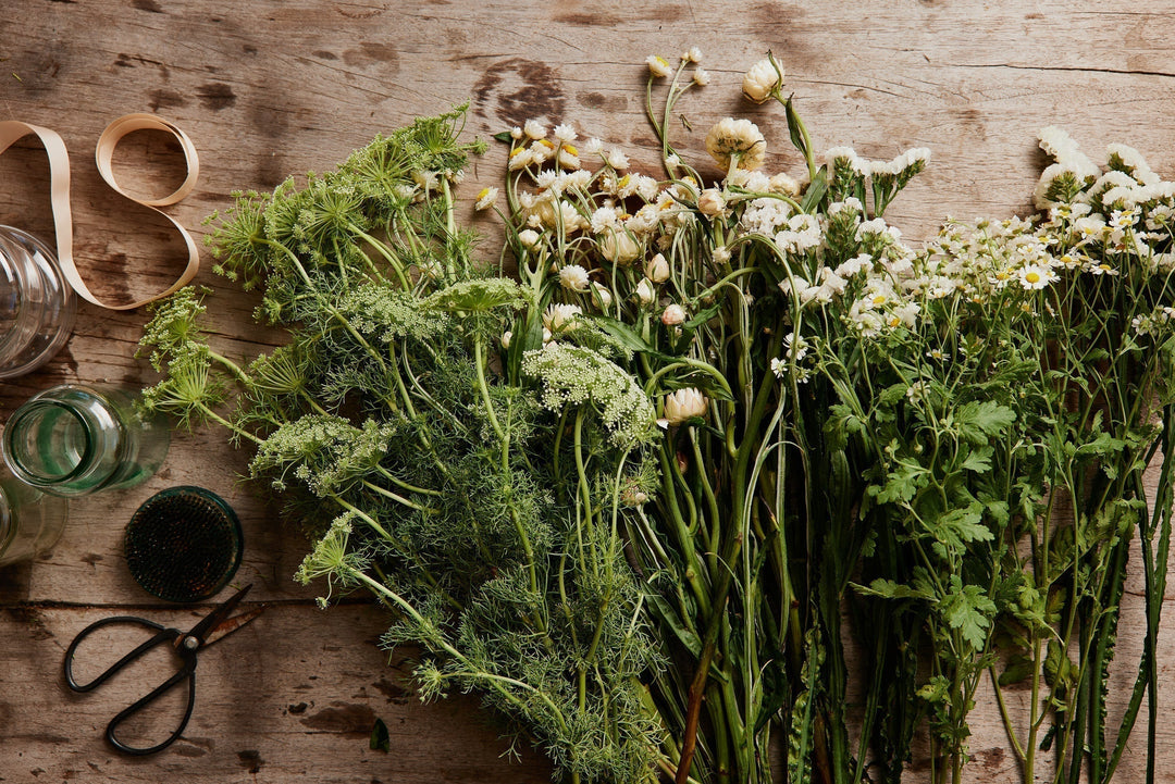 Our Favourite Filler and Foliage Flowers