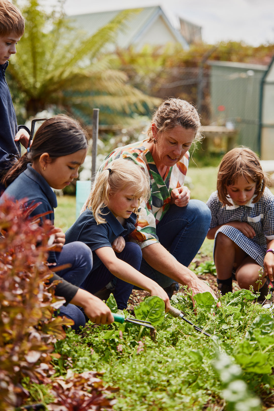 Tiny school kitchen garden on an island