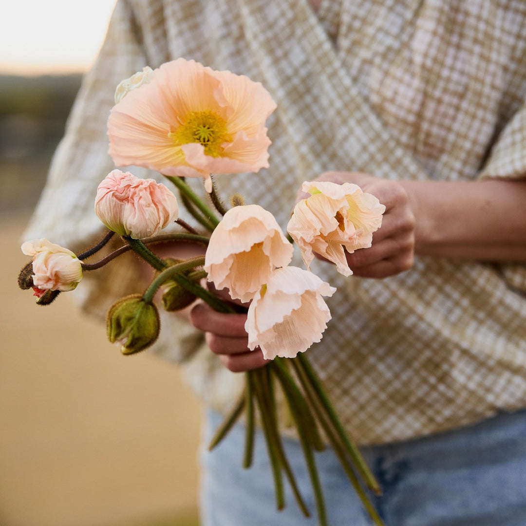 A List Of Flower Seeds To Sow In Autumn In Australia