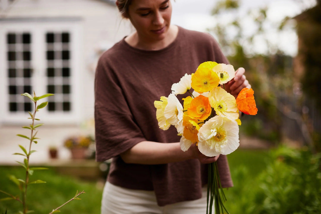 How To Grow Poppy Flowers From Seed