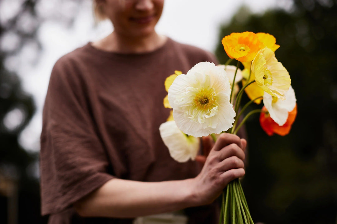 A List Of Flower Seeds To Sow In Autumn In Australia