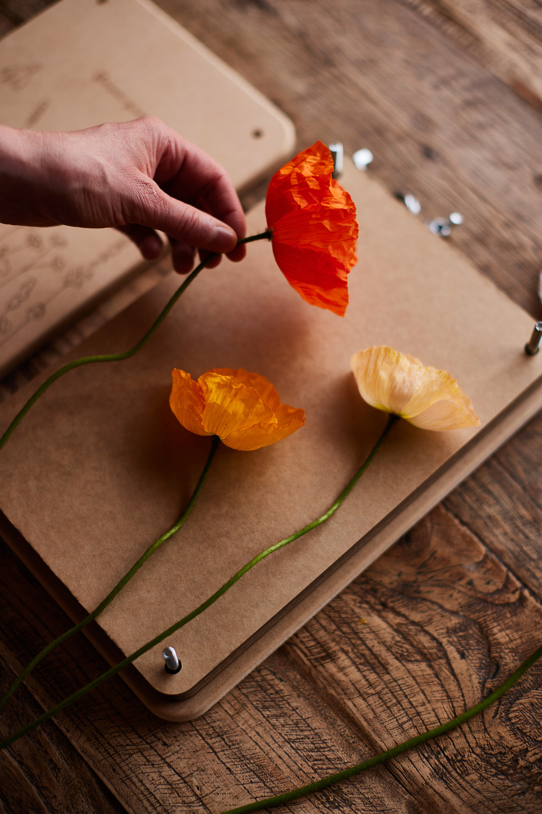 How to press your cut flowers (a simple step by step guide) + preserve their beauty