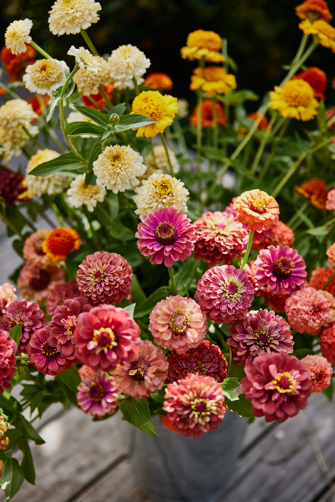 Our Top 10 Most Loved Cut Flower Garden Varieties To Grow From Seed