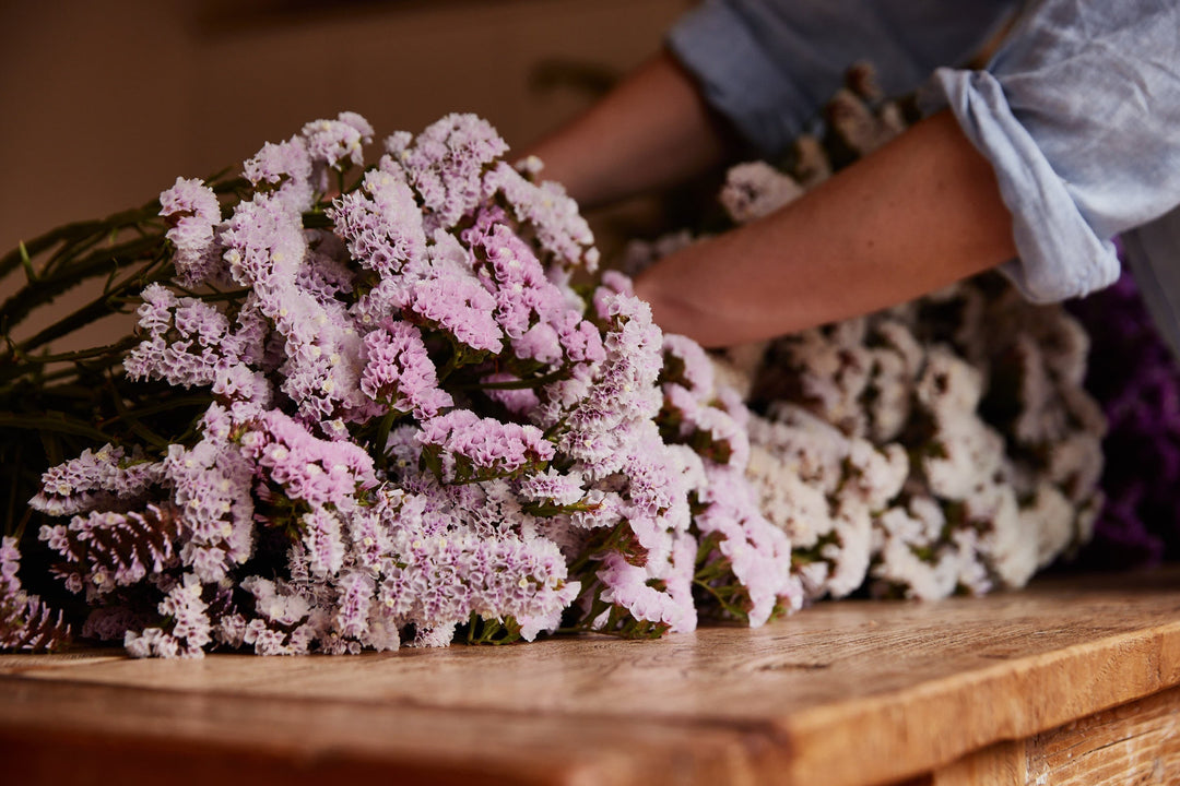 How To Grow Statice Flowers From Seed