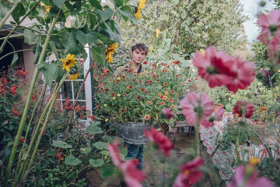 An Interview with Arthur Parkinson - Writer, Presenter, Artist & Florist