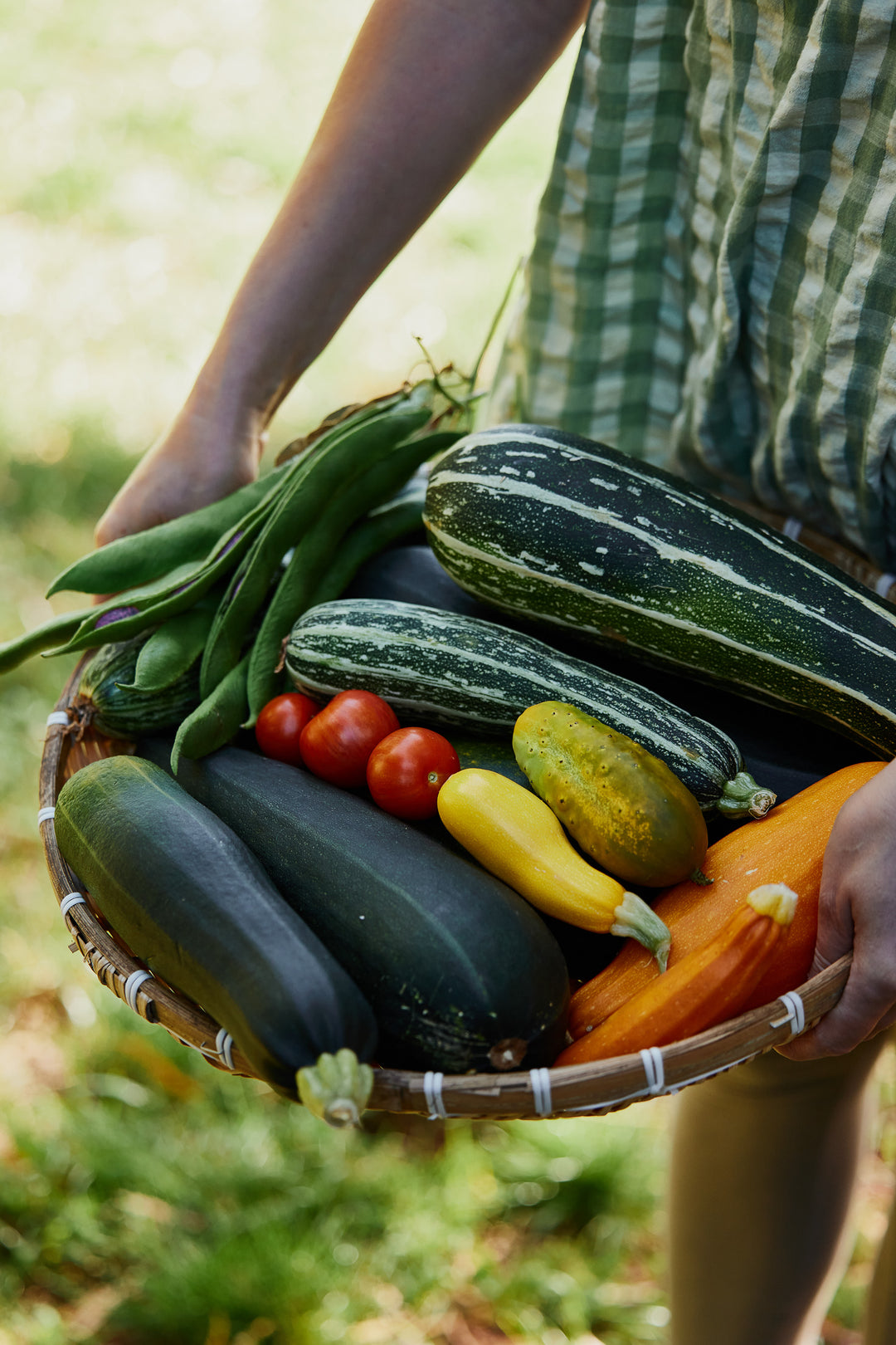 Arid Climate Seeds to Grow In Spring