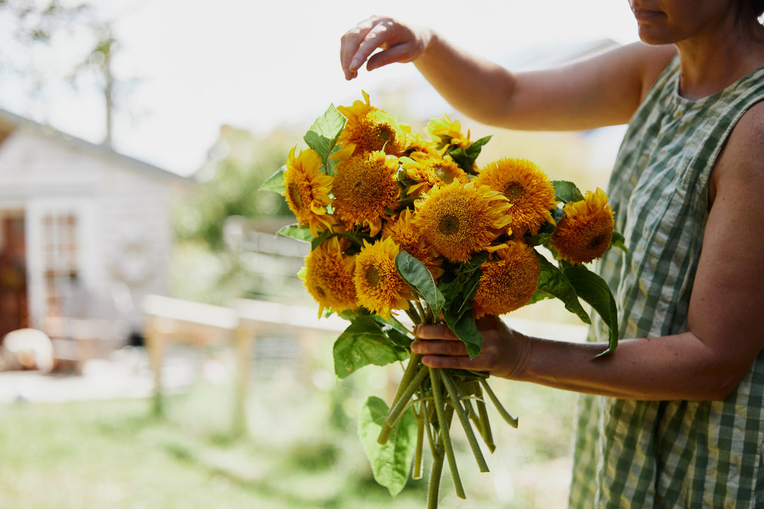 Sub Tropical Climate Seeds to Grow In Spring