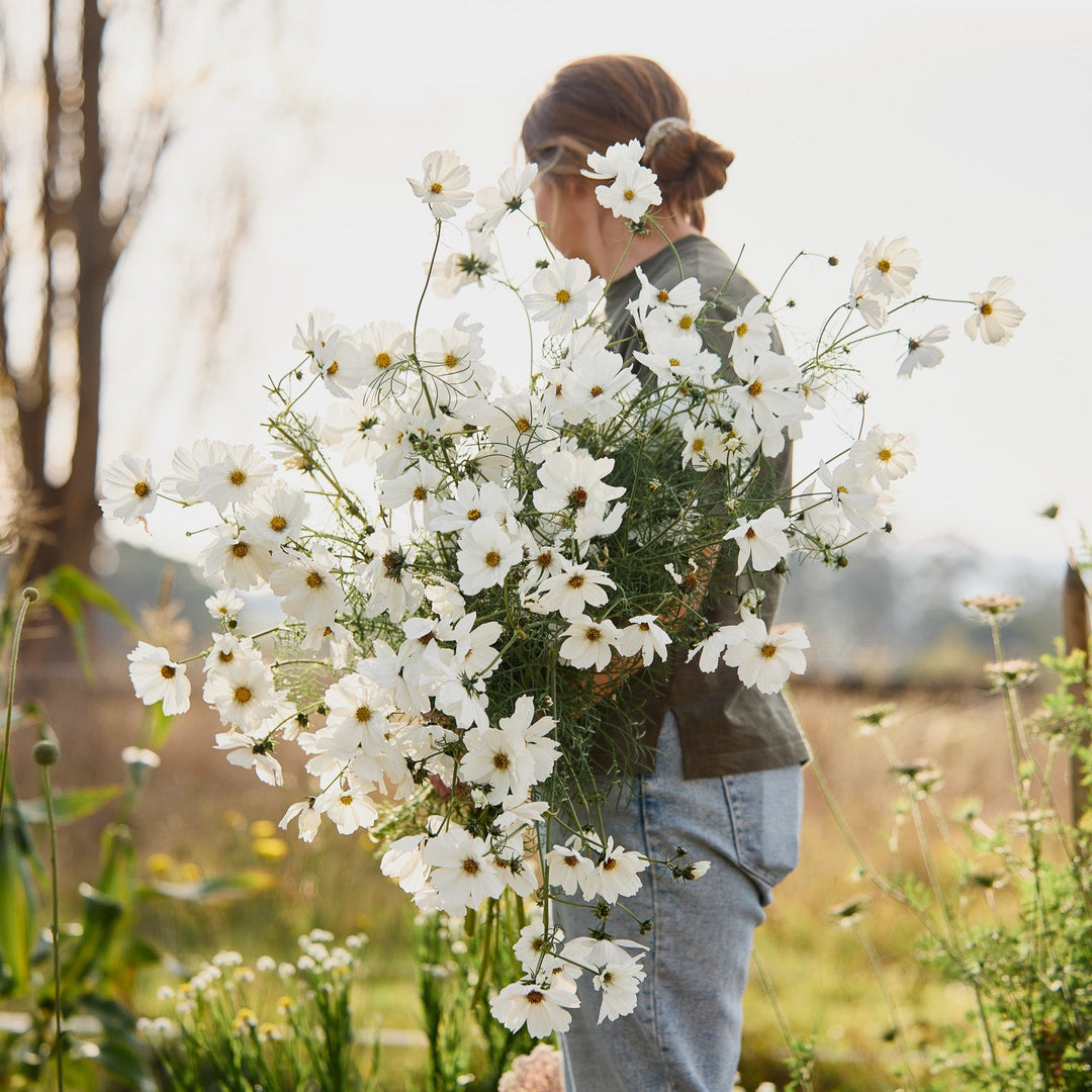 Sub-Tropical Climate Seeds To Sow In May