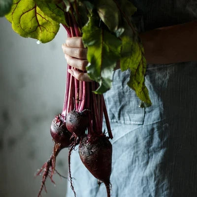 Arid Climate Vegetable and Herb Seeds To Sow In August