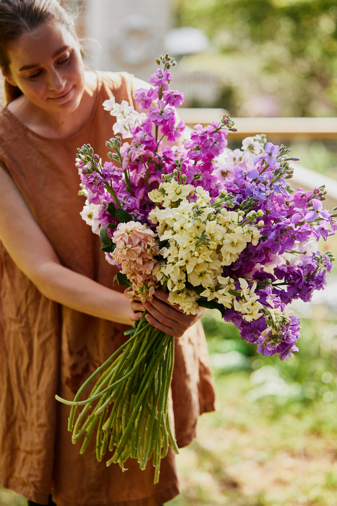 Stock Mix Flower | X 50 Seeds