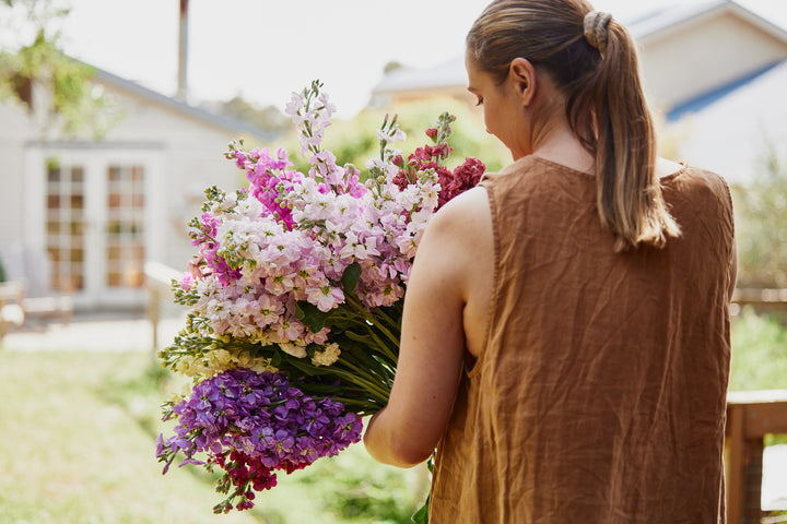 Stock Giant Column Mix Flower | X 50 Seeds