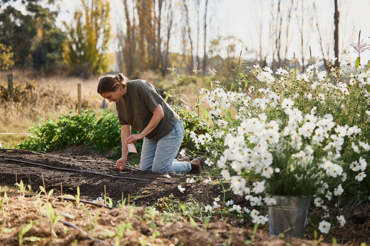 May Seed Sowing In Australia Veggie & Flower Garden Seeds