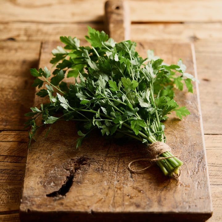 Parsley Italian Herb | X 200 Seeds