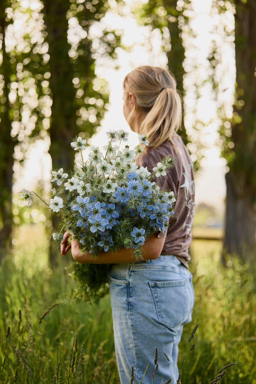 Nigella Blue + White Mix Flower | X 100 Seeds
