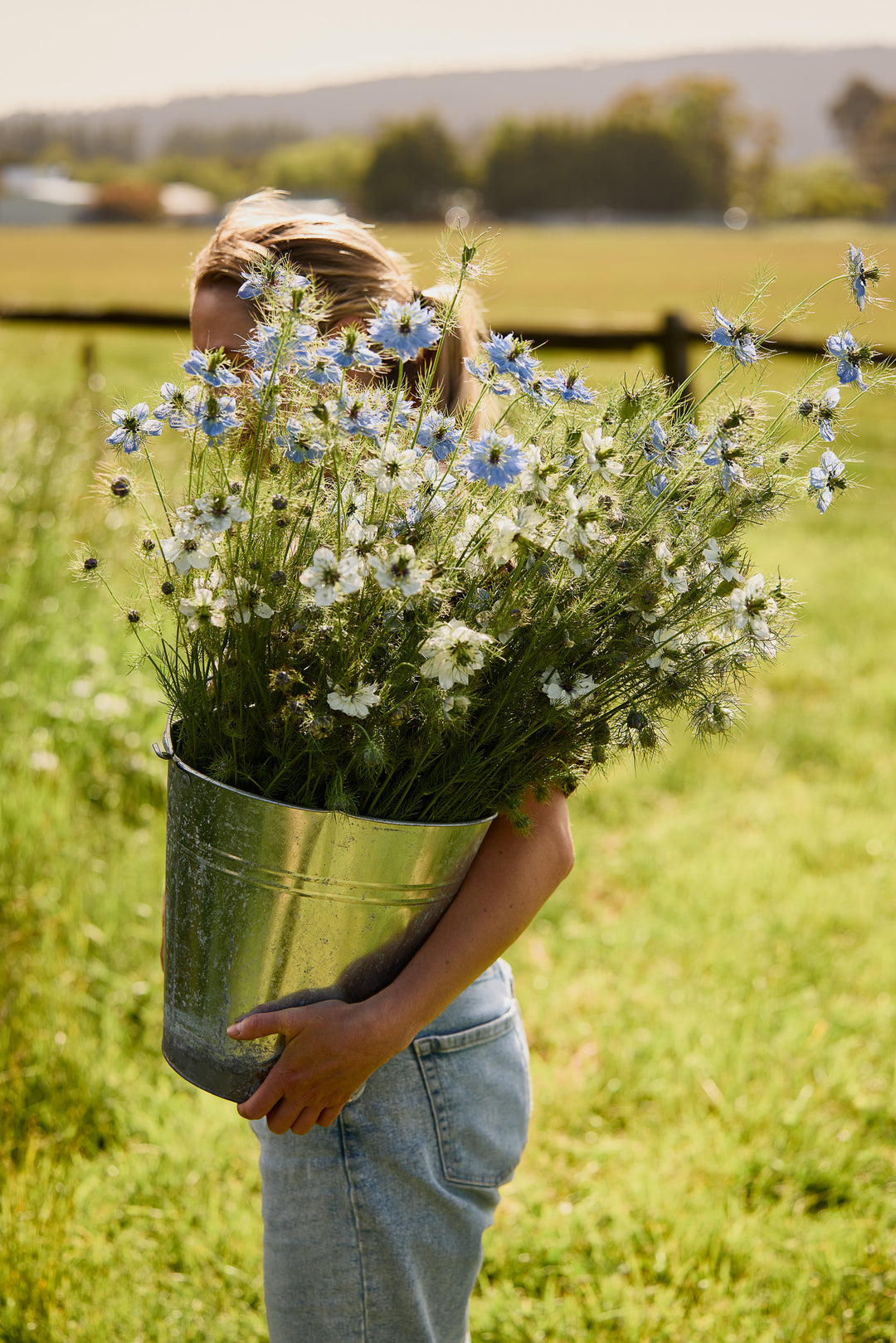 Nigella Blue + White Mix Flower | X 100 Seeds