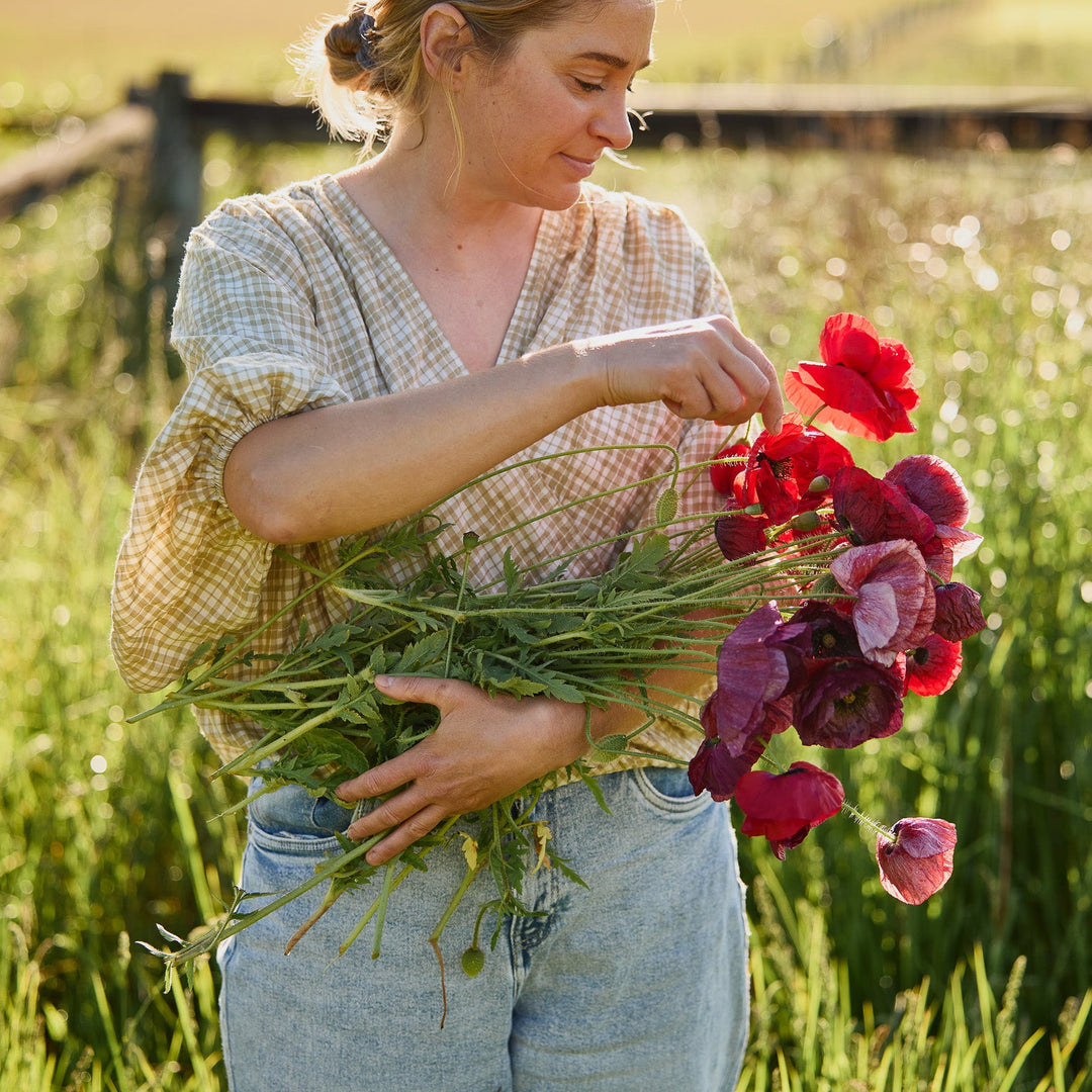 Poppy Pandora Flower | X 300 Seeds