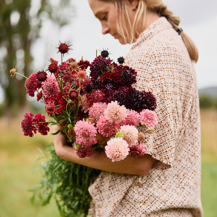 Scabiosa Summer Fruits Mix Pincushion Flower | X 40 Seeds