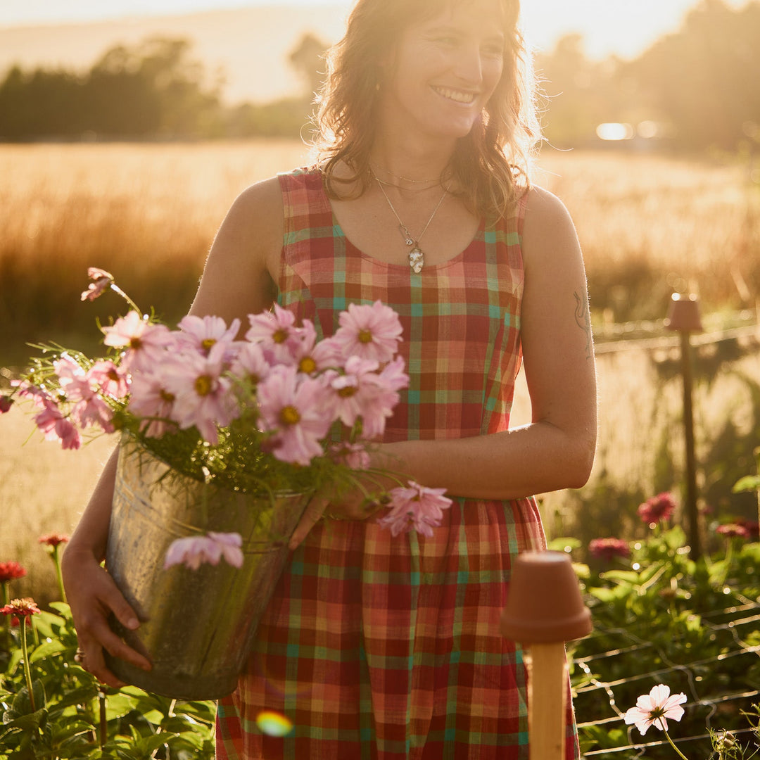 Cosmos Rosetta Flower | X 30 Seeds